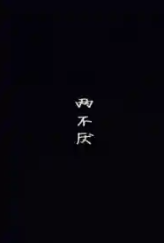 两不厌